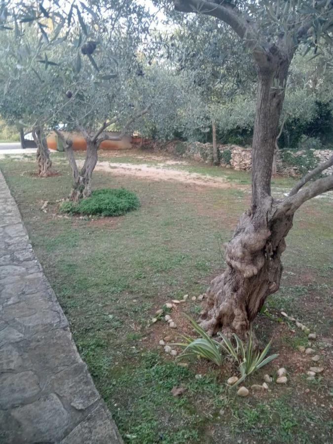 Apartman Krcina كرينكا المظهر الخارجي الصورة